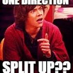 Shocked One Direction | ONE DIRECTION; SPLIT UP?? | image tagged in shocked one direction | made w/ Imgflip meme maker
