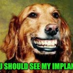 Happy Dog MF Meme | YOU SHOULD SEE MY IMPLANTS | image tagged in happy dog mf meme | made w/ Imgflip meme maker