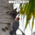 Knock Knock | KNOCK KNOCK - WHOS THERE?! REPOST | image tagged in knock knock | made w/ Imgflip meme maker