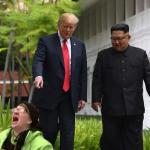 Trump & Kim Pointing at Liberal meme