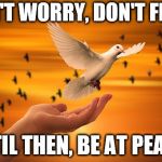 Dove of Peace | DON'T WORRY, DON'T FEAR, UNTIL THEN, BE AT PEACE. | image tagged in dove of peace | made w/ Imgflip meme maker