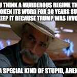 special stupid | YOU THINK A MURDEROUS REGIME THAT HAS BROKEN ITS WORD FOR 30 YEARS SUDDENLY WILL KEEP IT BECAUSE TRUMP WAS INVOLVED? YOU'RE A SPECIAL KIND OF STUPID, AREN'T YOU? | image tagged in special stupid | made w/ Imgflip meme maker
