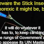 Julie Bishop Stick Insect | Beware the Stick Insect, anorexic it might be, but, YARRA MAN. it will do whatever it has to, to keep climbing the rungs of Government and to appease its UIN Masters. | image tagged in julie bishop stick insect | made w/ Imgflip meme maker
