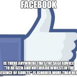 Facebook Like Button | FACEBOOK; IS THERE ANYWHERE THAT THE SAGE ADVICE "TO BE SEEN AND NOT HEARD WHILST IN THE PRESENCE OF ADULTS" IS IGNORED MORE THAN HERE? | image tagged in facebook like button | made w/ Imgflip meme maker
