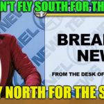 Science news........ | BIRDS DON'T FLY SOUTH FOR THE WINTER; THEY FLY NORTH FOR THE SUMMER | image tagged in breaking news,memes,funny,science | made w/ Imgflip meme maker