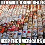 beer cans | BUILD A WALL USING REAL BEER; TO KEEP THE AMERICANS OUT | image tagged in beer cans | made w/ Imgflip meme maker