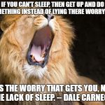 Climate Change Action | IF YOU CAN'T SLEEP, THEN GET UP AND DO SOMETHING INSTEAD OF LYING THERE WORRYING. IT'S THE WORRY THAT GETS YOU, NOT THE LACK OF SLEEP. -- DALE CARNEGIE | image tagged in climate change action | made w/ Imgflip meme maker