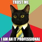 Professional Cat | TRUST ME; I AM AN IT PROFESSIONAL | image tagged in professional cat | made w/ Imgflip meme maker