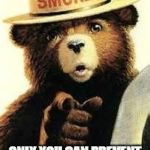 Smokey the bear | ONLY YOU CAN PREVENT KITCHEN FIRES | image tagged in smokey the bear | made w/ Imgflip meme maker