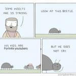 Strong beetle