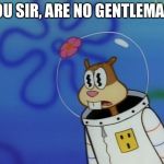 You, Sir are no gentleman! | YOU SIR, ARE NO GENTLEMAN! | image tagged in sandy cheeks peeved,memes,spongebob squarepants,sandy cheeks,funny | made w/ Imgflip meme maker