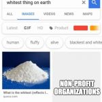 whitest thing on earth | NON-PROFIT ORGANIZATIONS | image tagged in whitest thing on earth | made w/ Imgflip meme maker