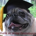 I'm hungry for more until graduation meme