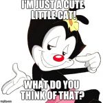 Dot Warner | I'M JUST A CUTE LITTLE CAT! WHAT DO YOU THINK OF THAT? | image tagged in dot warner | made w/ Imgflip meme maker