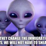 Grey Immigrants | IF THEY CHANGE THE IMMIGRATION LAWS, WE WILL NOT HAVE TO SNEAK IN. | image tagged in grey immigrants | made w/ Imgflip meme maker