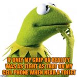 kermit thought | IF ONLY MY GRIP ON REALITY WAS AS TIGHT AS THAT ON MY CELL PHONE WHEN NEAR A TOILET | image tagged in kermit thought,reality,cell phone | made w/ Imgflip meme maker