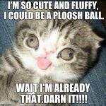 Derp Cat | I'M SO CUTE AND FLUFFY, I COULD BE A PLOOSH BALL. WAIT I'M ALREADY THAT.DARN IT!!!! | image tagged in derp cat | made w/ Imgflip meme maker