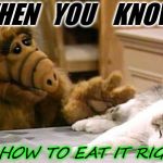Alf | WHEN   YOU    KNOW ! JUST HOW TO EAT IT RIGHT!.!.! | image tagged in alf | made w/ Imgflip meme maker