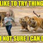 Are you challenging yourself? | I LIKE TO TRY THINGS; I'M NOT SURE I CAN DO. | image tagged in tiger exhibit challenge,memes | made w/ Imgflip meme maker