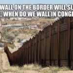 Border Wall 02 | IF A WALL ON THE BORDER WILL SLOW CRIME, WHEN DO WE WALL IN CONGRESS? | image tagged in border wall 02 | made w/ Imgflip meme maker