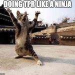 Ninja cat in stance | DOING TPR LIKE A NINJA | image tagged in ninja cat in stance | made w/ Imgflip meme maker