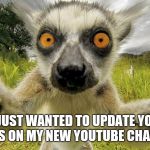 Vlogger siting | I JUST WANTED TO UPDATE YOU GUYS ON MY NEW YOUTUBE CHANNEL | image tagged in selfi animal | made w/ Imgflip meme maker