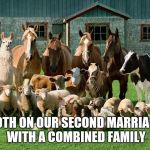 Looking for an 8 bedroom house | BOTH ON OUR SECOND MARRIAGE WITH A COMBINED FAMILY | image tagged in animals | made w/ Imgflip meme maker