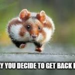 Time to lose some lbs | THAT DAY YOU DECIDE TO GET BACK IN SHAPE | image tagged in funny animals | made w/ Imgflip meme maker