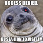 Awkward Moment -  Red Team Cyborg Anthropologist Sea Lion | ACCESS DENIED. MUST BE SEA LION TO VISIT IMGFLIP. | image tagged in awkward moment -  red team cyborg anthropologist sea lion | made w/ Imgflip meme maker