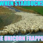 sheep | WHEN STARBUCKS; HAS THE UNICORN FRAPPUCCINO | image tagged in sheep | made w/ Imgflip meme maker