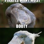 .... | WHAT DO MEN AND PIRATES WANT MOST; BOOTY | image tagged in bad joke bird 3,memes,booty,pirates,males,adult humor | made w/ Imgflip meme maker