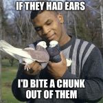 Mike Tyson | IF THEY HAD EARS; I'D BITE A CHUNK OUT OF THEM | image tagged in mike tyson | made w/ Imgflip meme maker