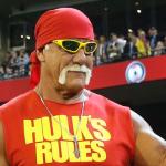 Hulk Hogan brother  meme