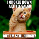 Invited to dinner with vegetarians at a vegan restaurant | I CHOKED DOWN A LITTLE SALAD; BUT I'M STILL HUNGRY | image tagged in kitten facepalm,vegetarian,vegan | made w/ Imgflip meme maker