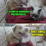 What's that smell? | HEY, THAT'S MY BED; IT STINKS OF IGNORANCE AND HAPPINESS; I DON'T SMELL ANYTHING; MUST BE WHY YOU EAT POOP | image tagged in grumpy cat and his dog,memes,poop,smells,dashhopes,challenge | made w/ Imgflip meme maker