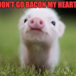 cute pig | DON'T GO BACON MY HEART | image tagged in cute pig | made w/ Imgflip meme maker