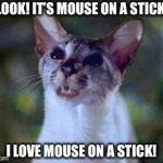 I love mouse on a stick! | LOOK! IT’S MOUSE ON A STICK. I LOVE MOUSE ON A STICK! | image tagged in lucky,memes,stuart little,siamese cat,funny,cat | made w/ Imgflip meme maker