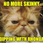 Messed up cat | NO MORE SKINNY; DIPPING WITH RHONDA | image tagged in messed up cat,memes | made w/ Imgflip meme maker