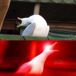 inhales seagull meme