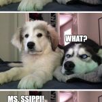 Dog jokes | WHAT WAS MISSISSIPPI CALLED BEFORE SHE GOT MARRIED? WHAT? MS. SSIPPI! | image tagged in dog jokes | made w/ Imgflip meme maker