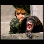 boy tells monkey the reality