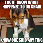 Sad Dog | I DONT KNOW WHAT HAPPENED TO DA CHAIR; KNOW ONE SAID ANY TING | image tagged in sad dog | made w/ Imgflip meme maker