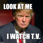 Look at me, I watch T.V. | LOOK AT ME; I WATCH T.V. | image tagged in television president,tvpresident,fraud,trump,donald trump,maga | made w/ Imgflip meme maker