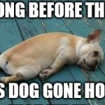 tired puppy | HOW LONG BEFORE THE FALL... ITS DOG GONE HOT... | image tagged in tired puppy | made w/ Imgflip meme maker