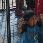 Child in a Cage