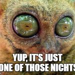 No Sleep for Lemur | YUP, IT'S JUST ONE OF THOSE NICHTS | image tagged in no sleep for lemur | made w/ Imgflip meme maker