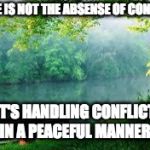 Nature | PEACE IS NOT THE ABSENSE OF CONFLICT, IT'S HANDLING CONFLICT IN A PEACEFUL MANNER. | image tagged in nature | made w/ Imgflip meme maker