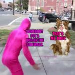 Pink Guy and Chili | THAT'S ME, BABY. SOMEBODY PUT A DOG ON THE SIDEWALK. | image tagged in pink guy,chili the border collie,dogs,border collie | made w/ Imgflip meme maker