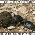 The next election  | YOU KNOW IT'S A DEMACRAT; WHEN THEY'RE  TRYING TO STEAL YOUR S#!T | image tagged in the next election | made w/ Imgflip meme maker