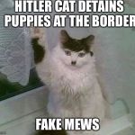 Hitler Cat | HITLER CAT DETAINS PUPPIES AT THE BORDER; FAKE MEWS | image tagged in hitler cat | made w/ Imgflip meme maker